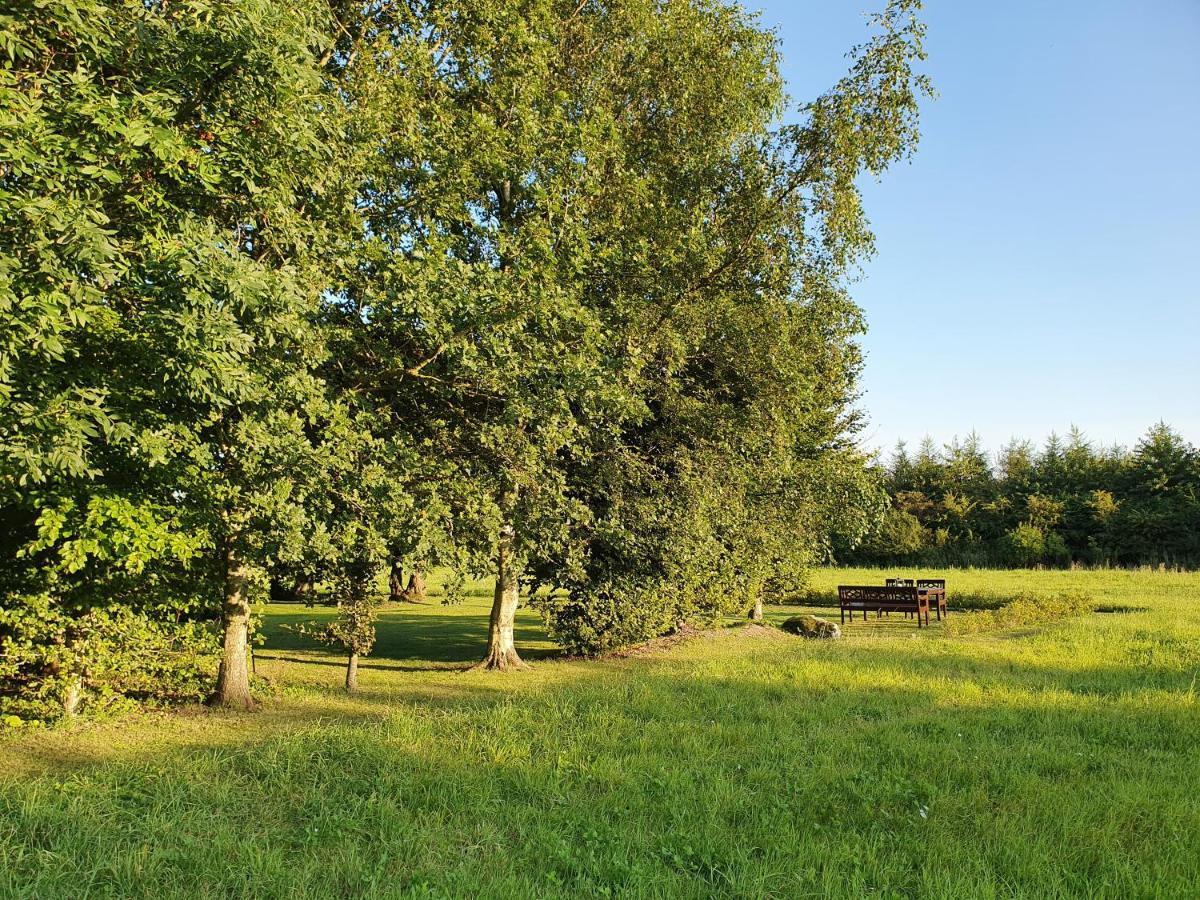 Solbjerg Skov B&B Exterior foto